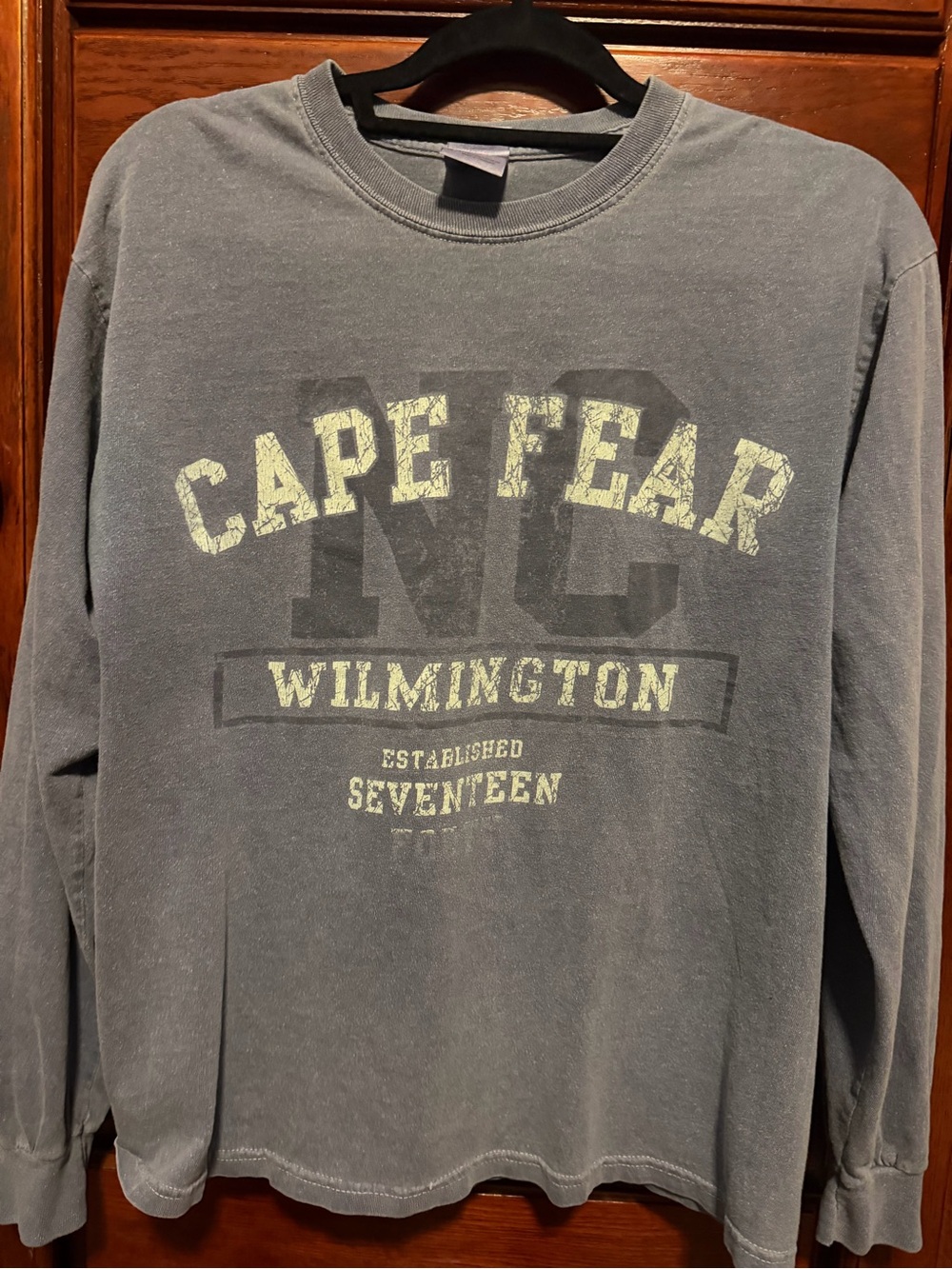 Gildan Cape Fear Wilmington Graphic Crewneck - Slate Gray